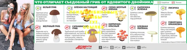 амф Новокубанск