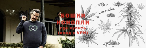 apvp Новозыбков