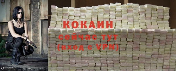 apvp Новозыбков