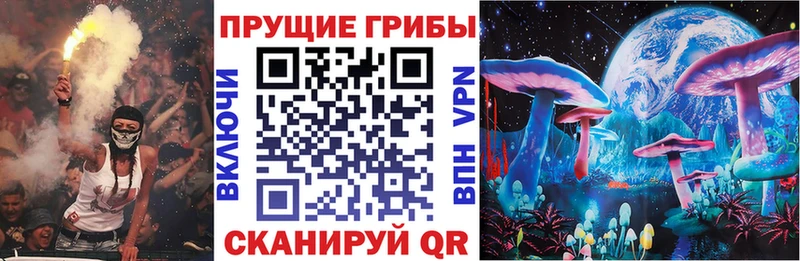 Купить закладки  Черемхово  Галлюциногенные грибы мухоморы 